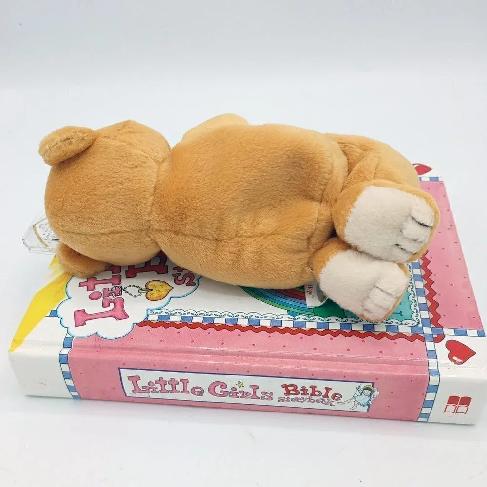 Little Girls Bible Storybook & Hope Praying Bear TY Beanie Baby - Children, Kids